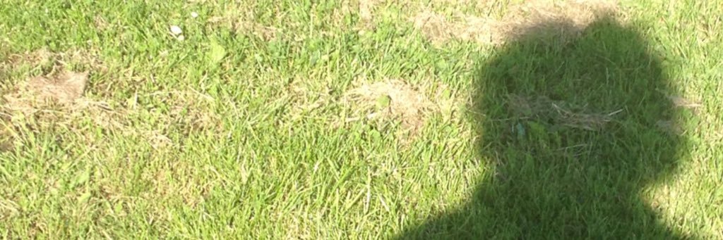 _Dalanda's profile banner image