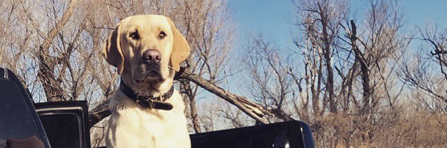 D_Cox_11's profile banner image