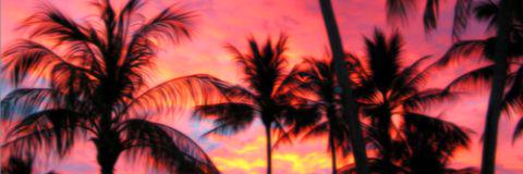 paxton_pm's profile banner image