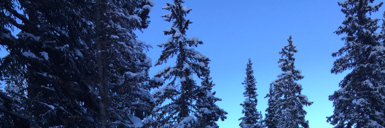 joey_balthazor's profile banner image