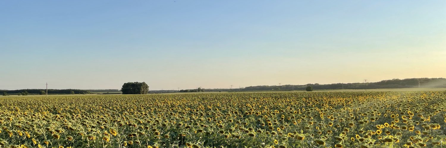 MLagerbielke's profile banner image