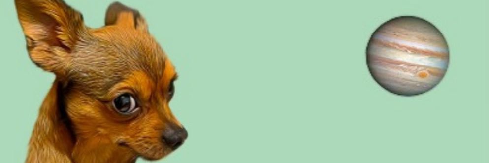 aliciakisme's profile banner image