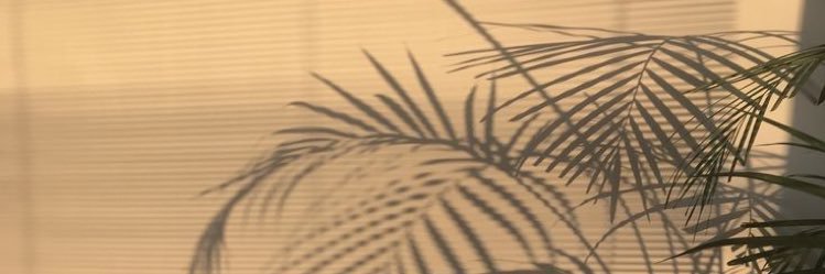 manman_t69's profile banner image