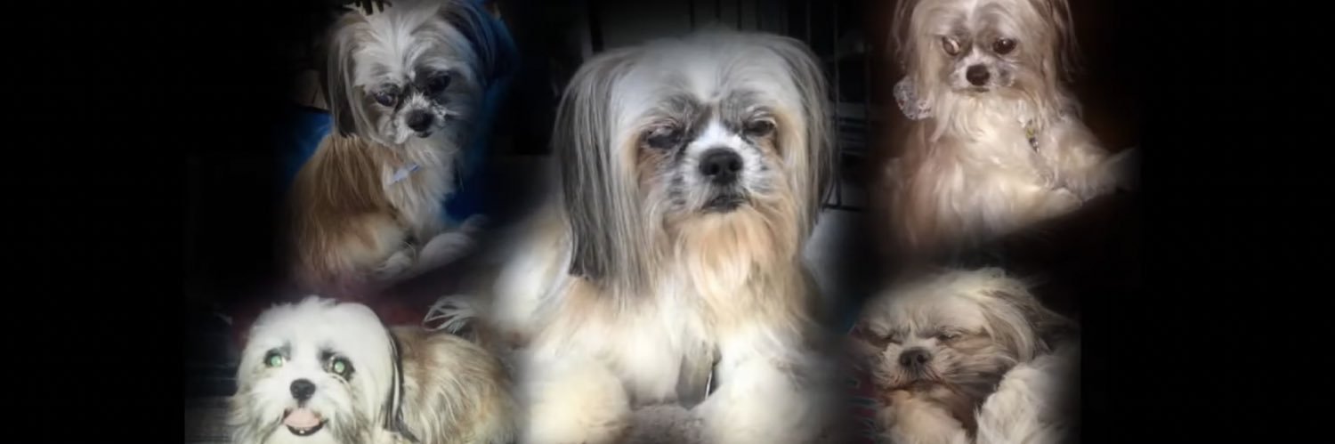 TYHensley6's profile banner image