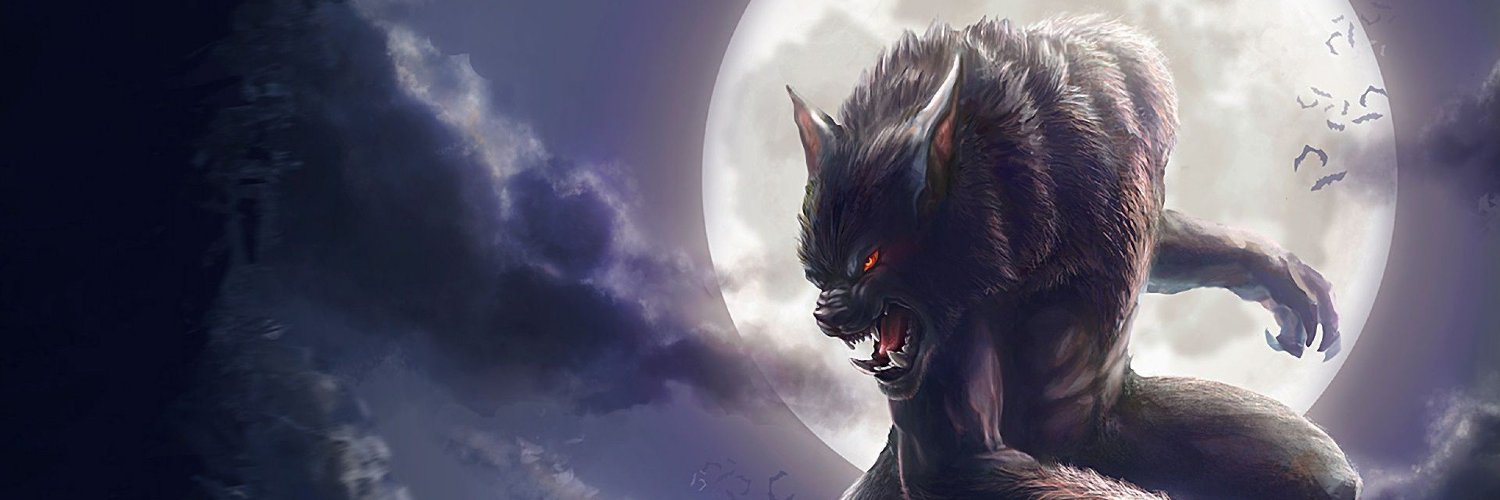 FannyDal's profile banner image