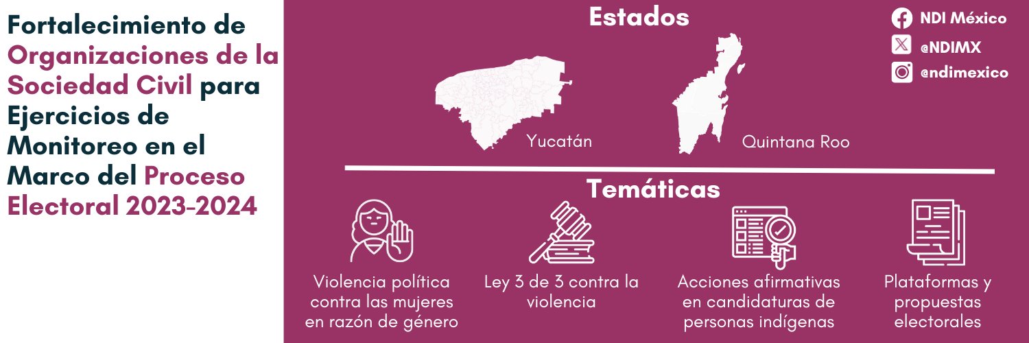 NDI México banner