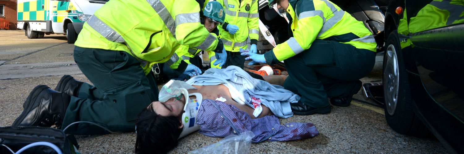 SECAmb Simulation banner