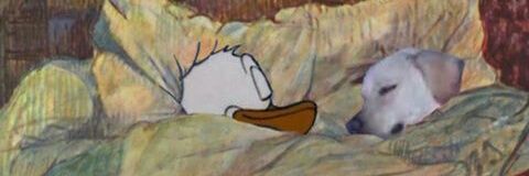caalimas's profile banner image