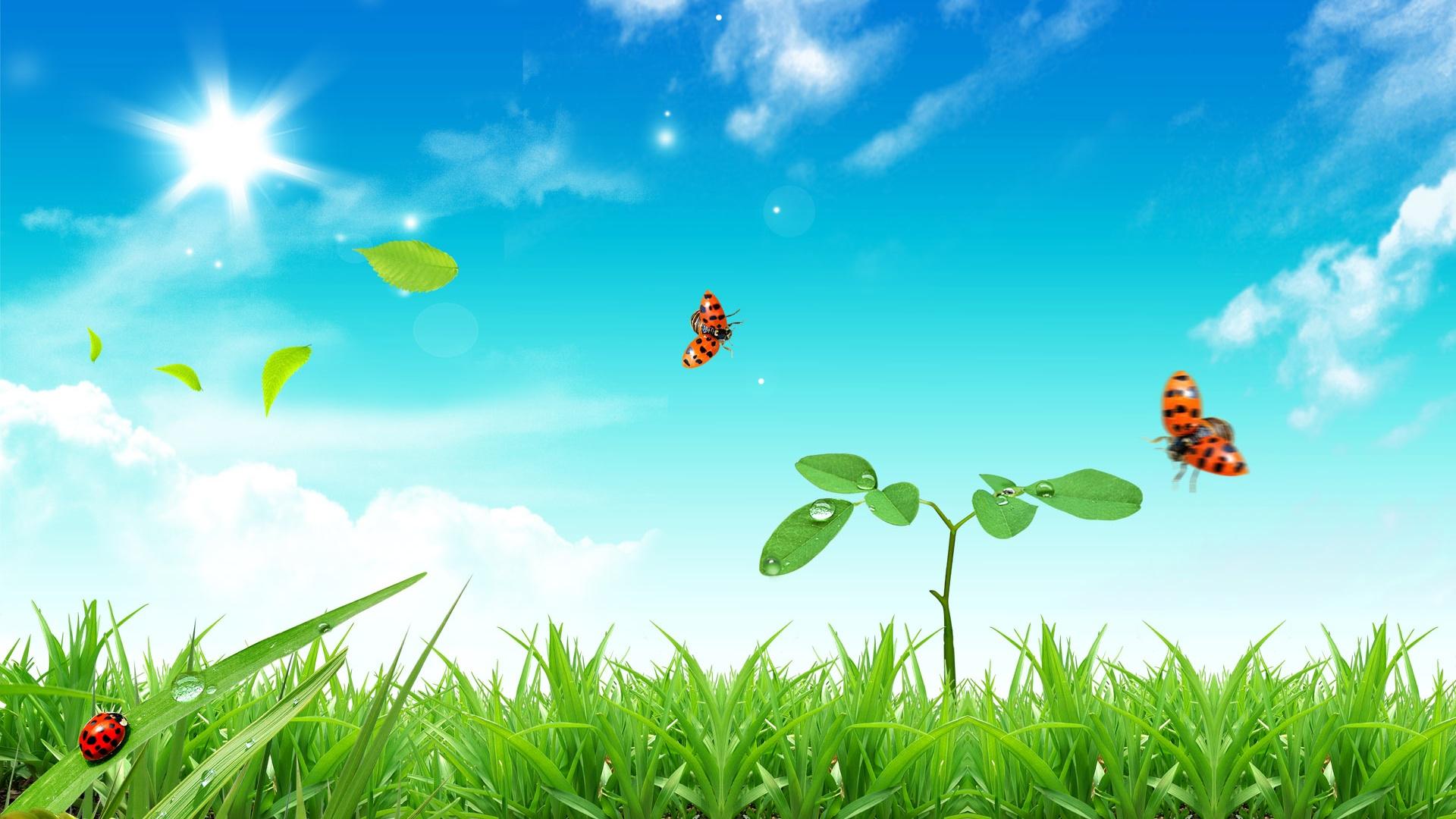 Carenejoc's profile banner image