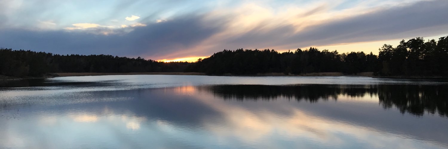niklas_beckman's profile banner image
