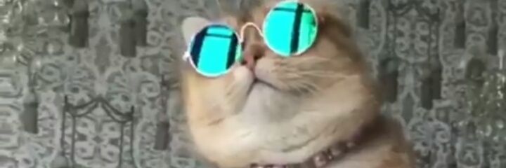 theMasked_duke's profile banner image