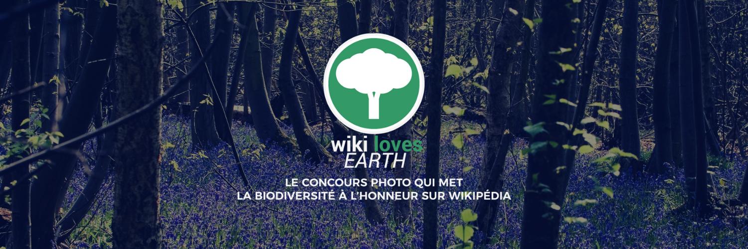 WLE_fr's profile banner image