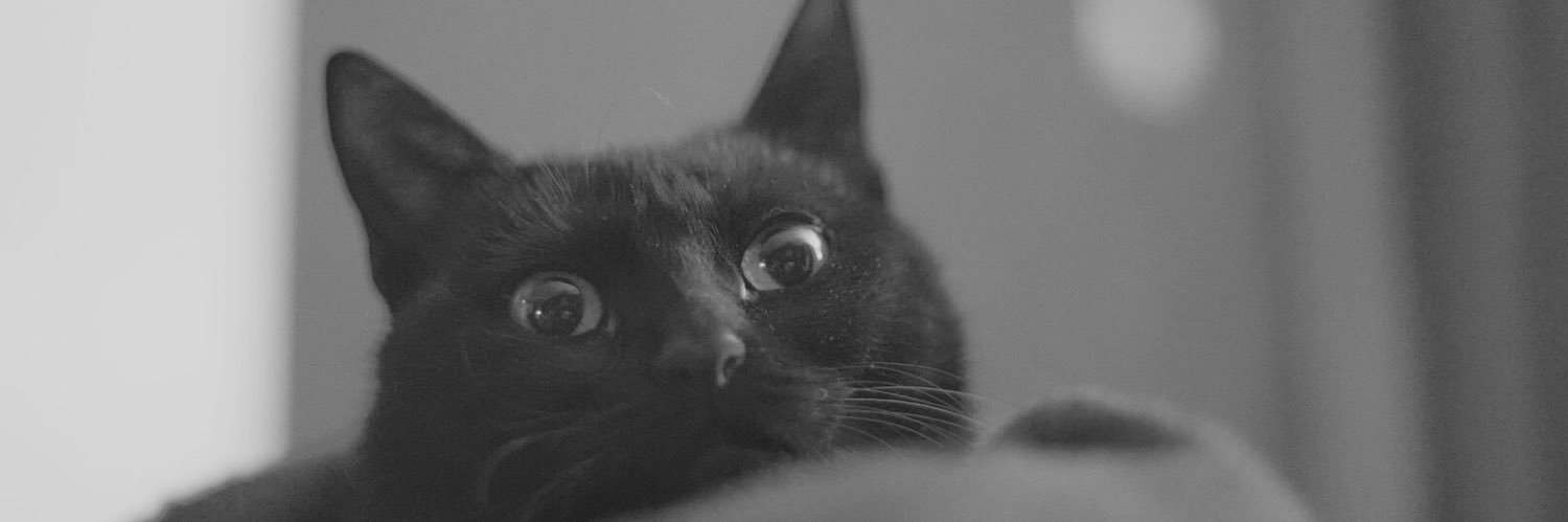 Ozdilm's profile banner image