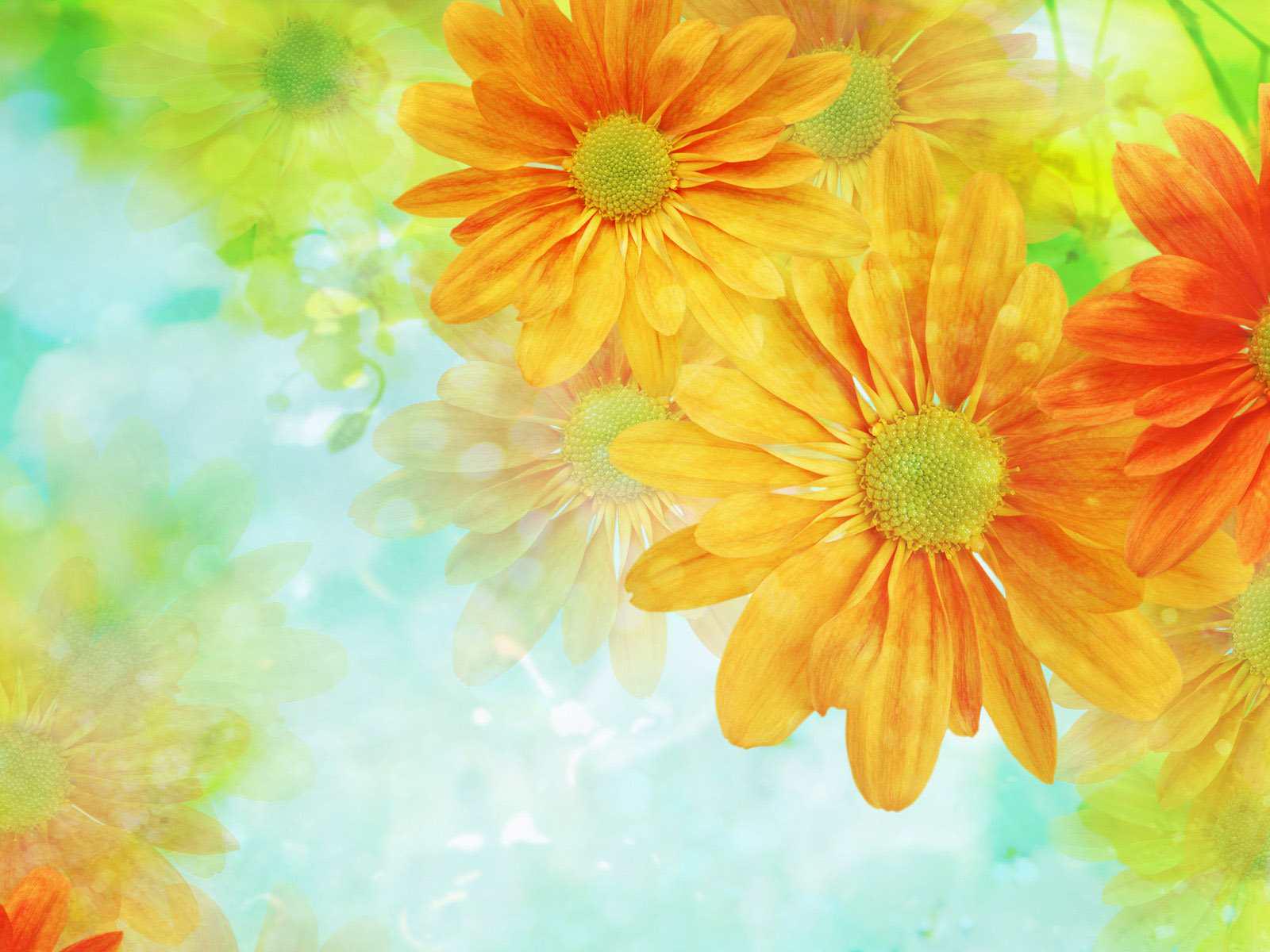 Judithbkfx's profile banner image
