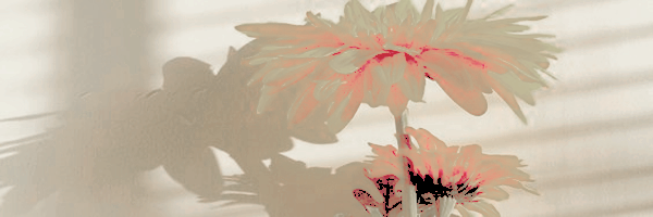 hisdreamscapes's profile banner image