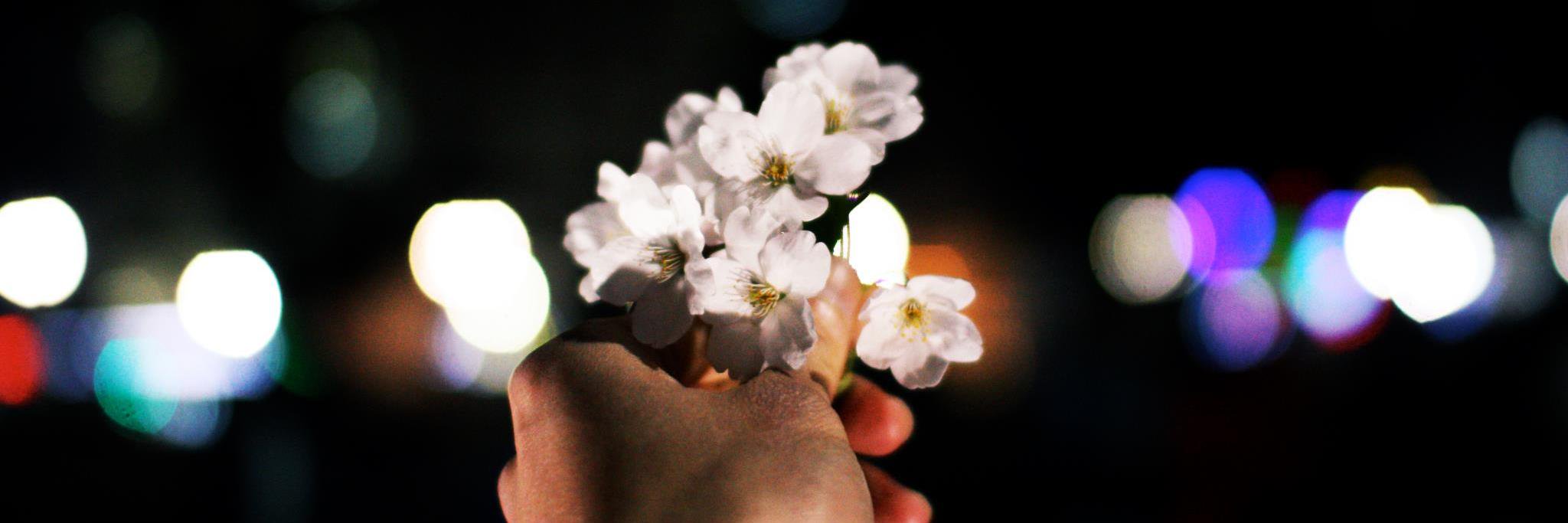 ridzaldj's profile banner image