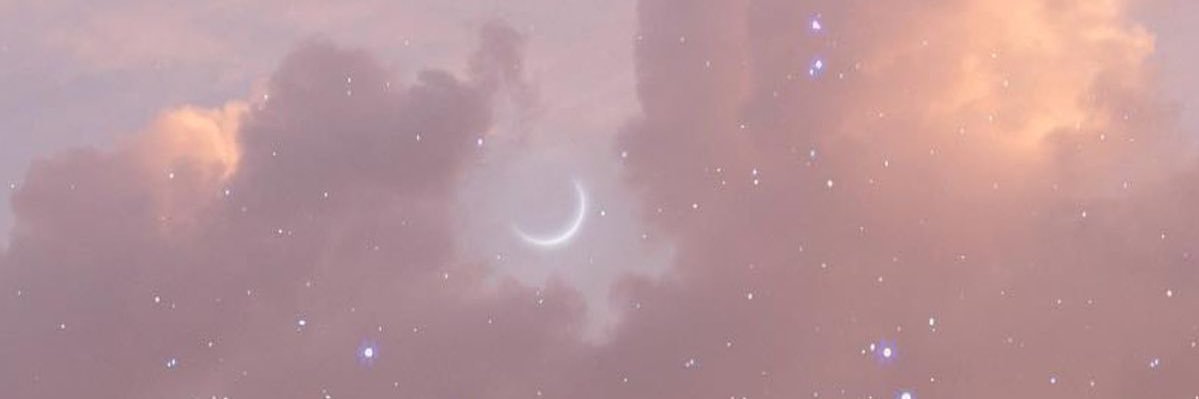 snacchann's profile banner image
