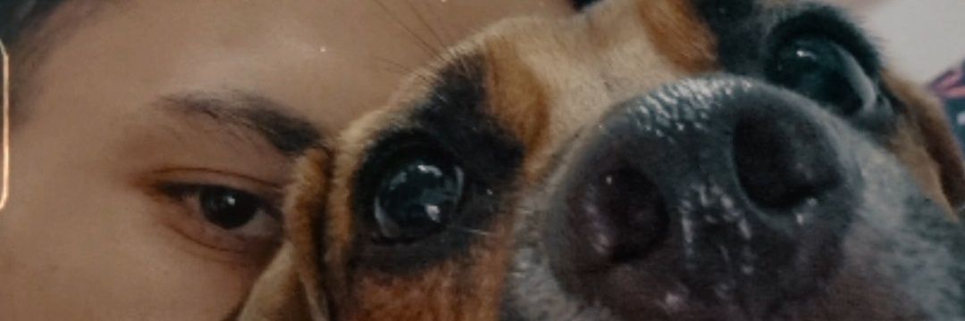 _alisontiago's profile banner image