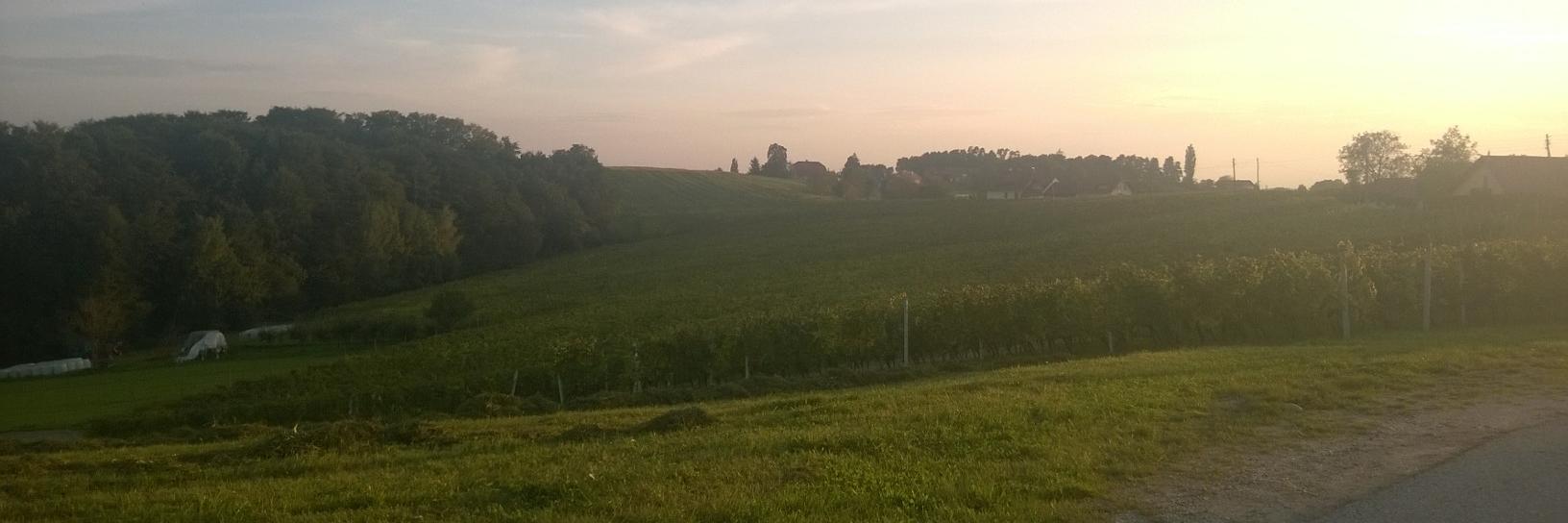 eVineyard_fr's profile banner image