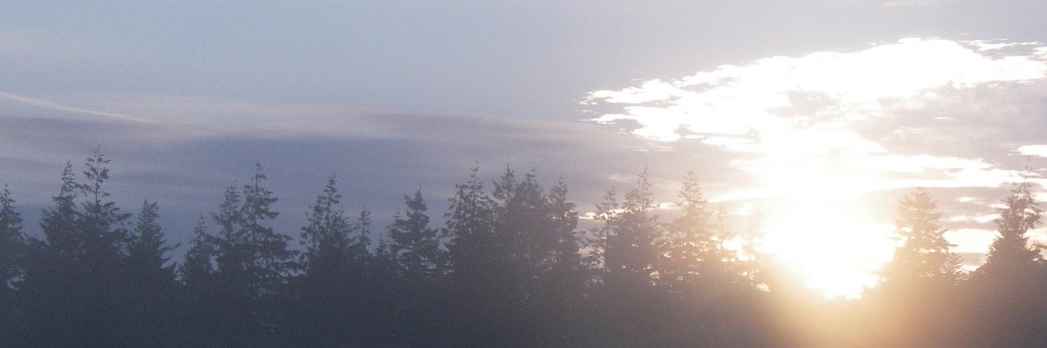 Timberstrategy's profile banner image