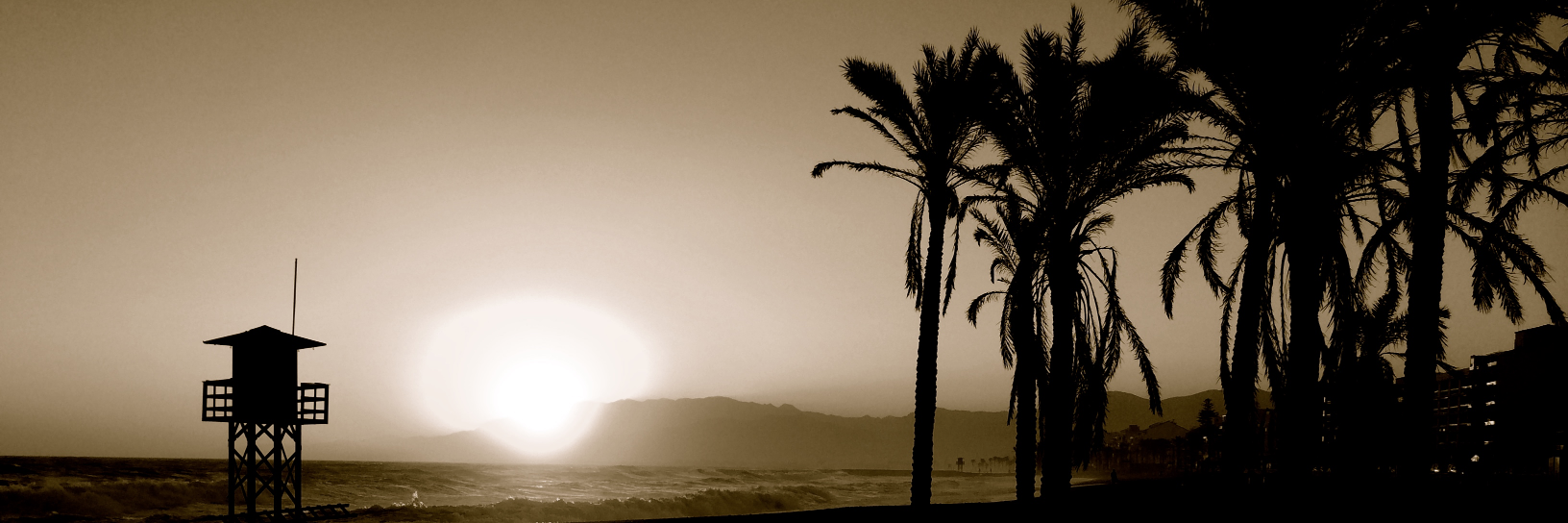 dahenrom's profile banner image