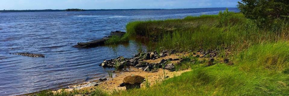 Brandon Shope banner