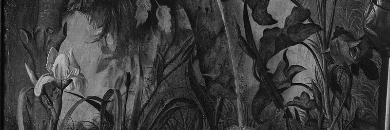 Robert Jakobson banner