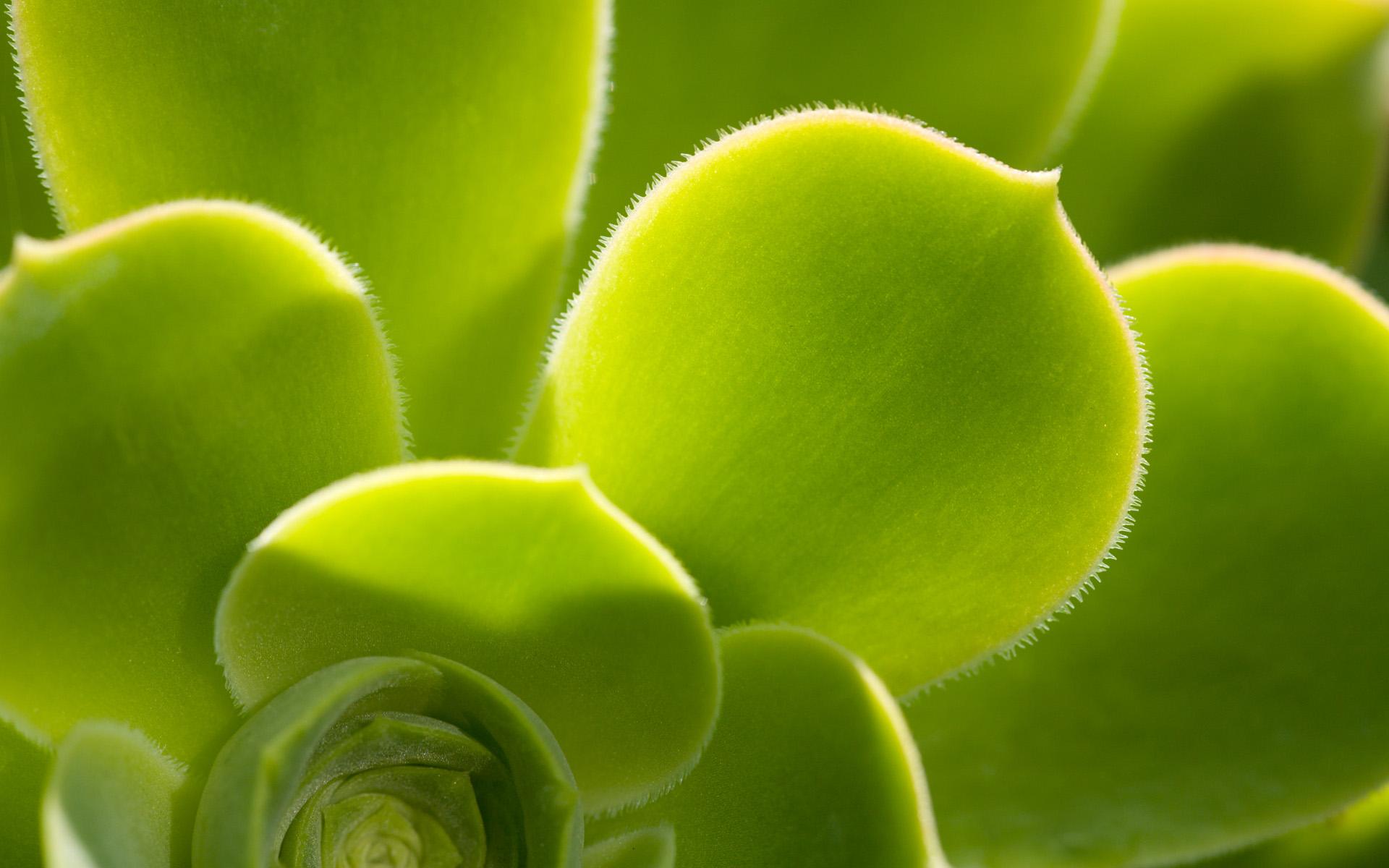 Dellacavr's profile banner image