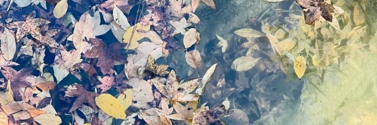 dmrglsh's profile banner image