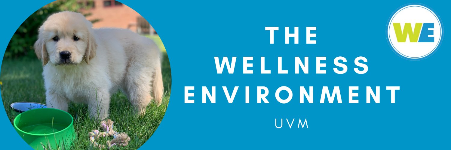 UVM WE banner