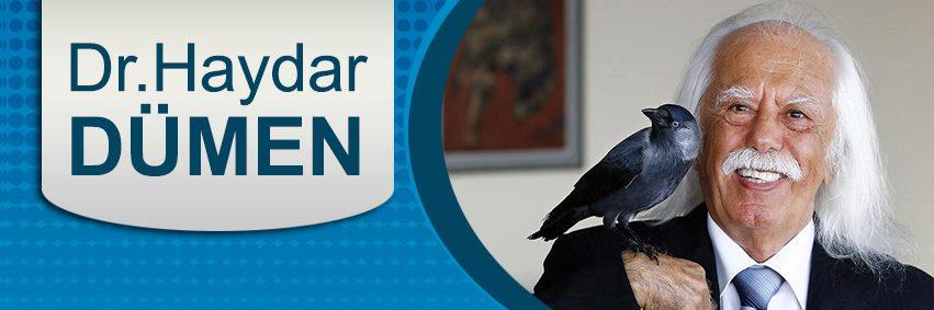 DkHDumen's profile banner image