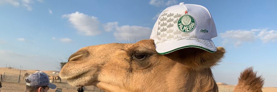 WiillOliveira3's profile banner image