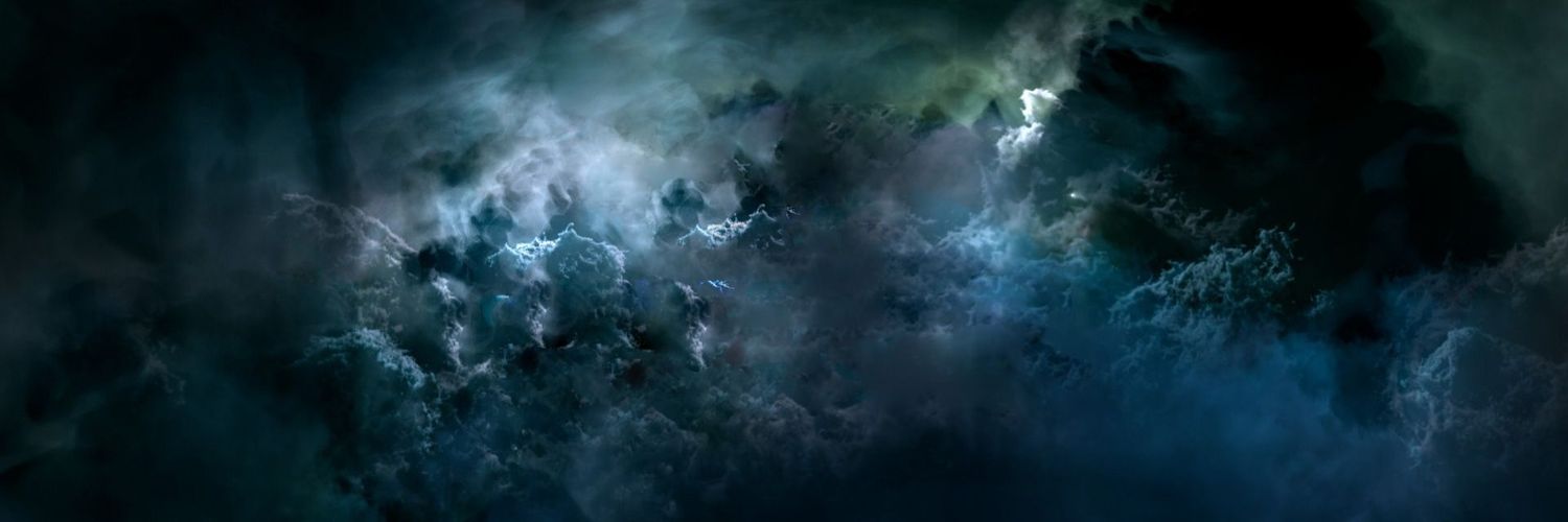 joan_dsilva's profile banner image