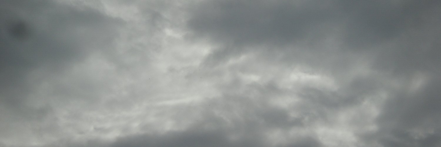 MahikaRao's profile banner image