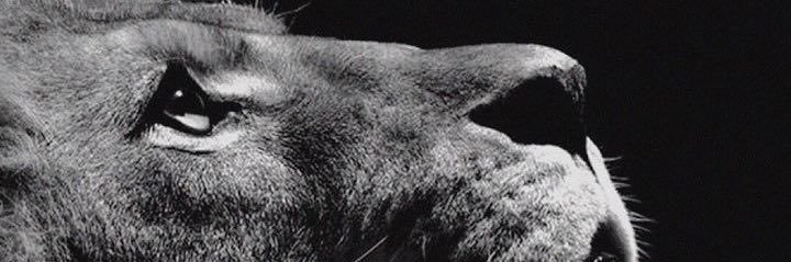 _rmelo7's profile banner image