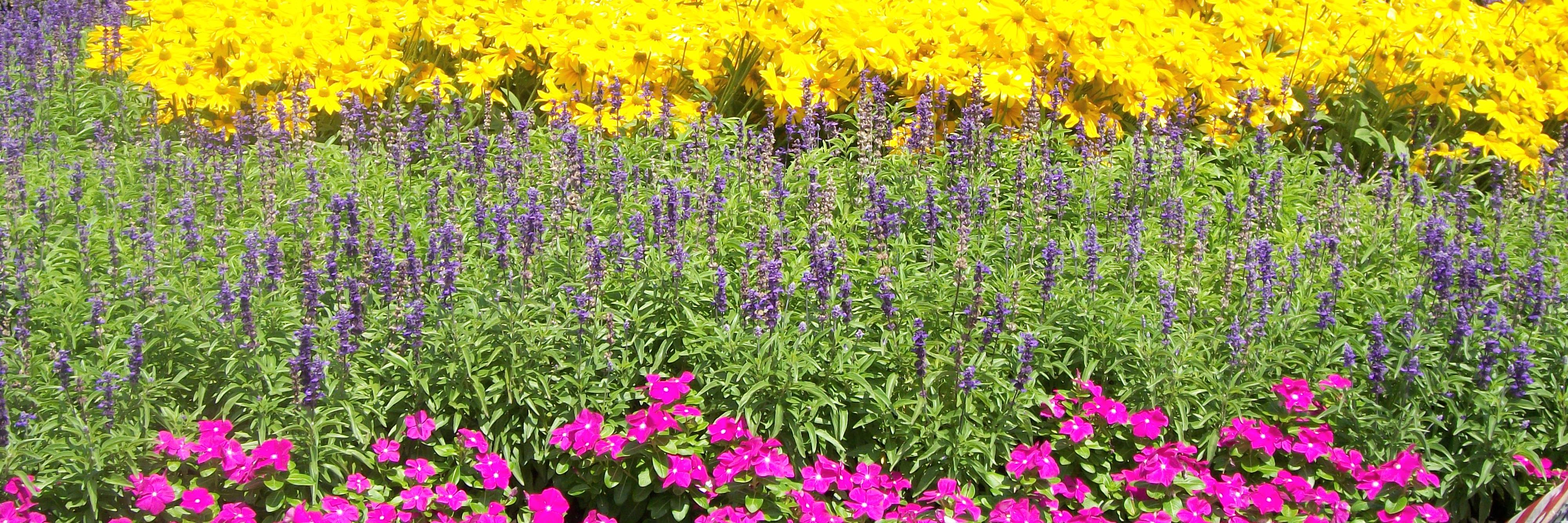 LCM_CurbAppeal's profile banner image