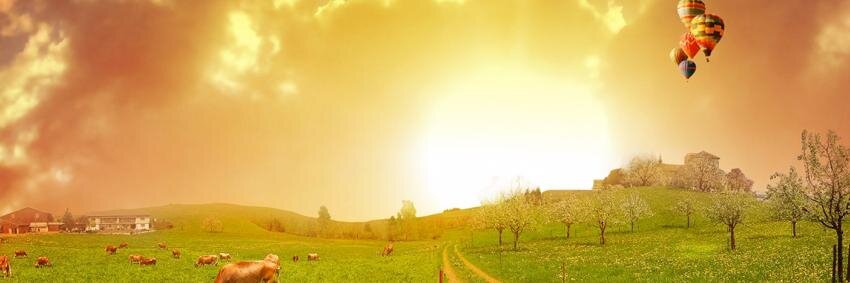gzanellar's profile banner image