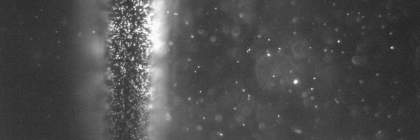 RaulRicaAlarcon Profile Banner