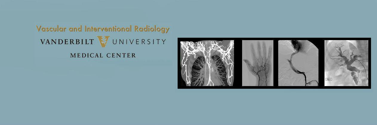 Vanderbilt IR banner