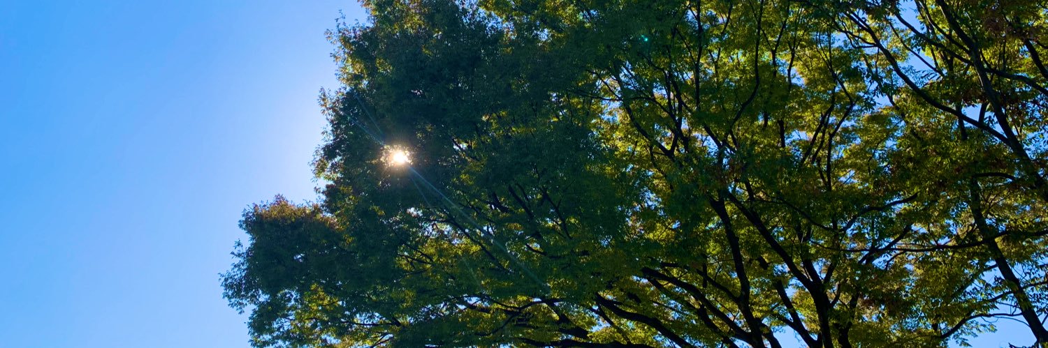 l24r03's profile banner image