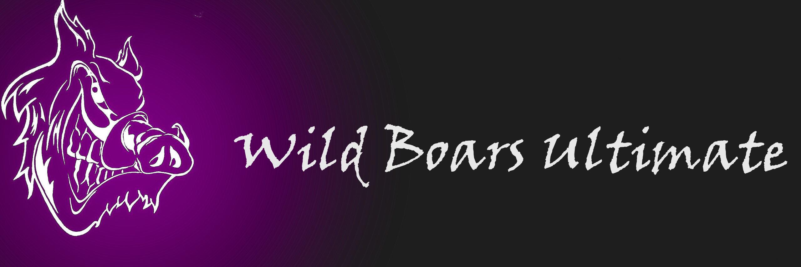 WildBoarsUlti's profile banner image