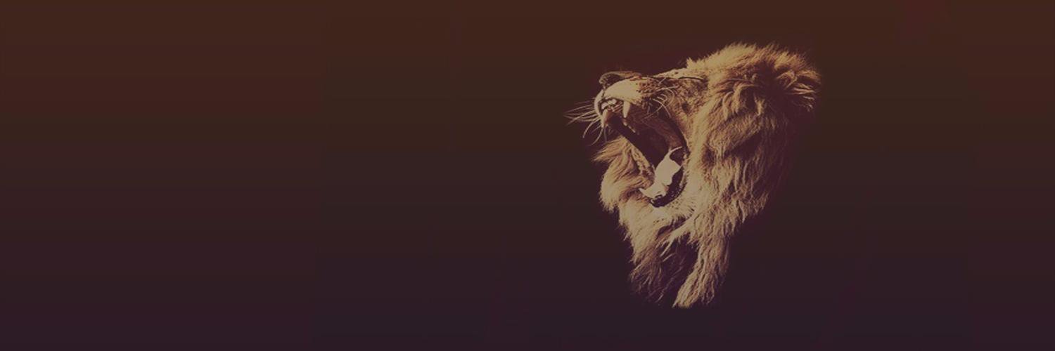 Vanze banner