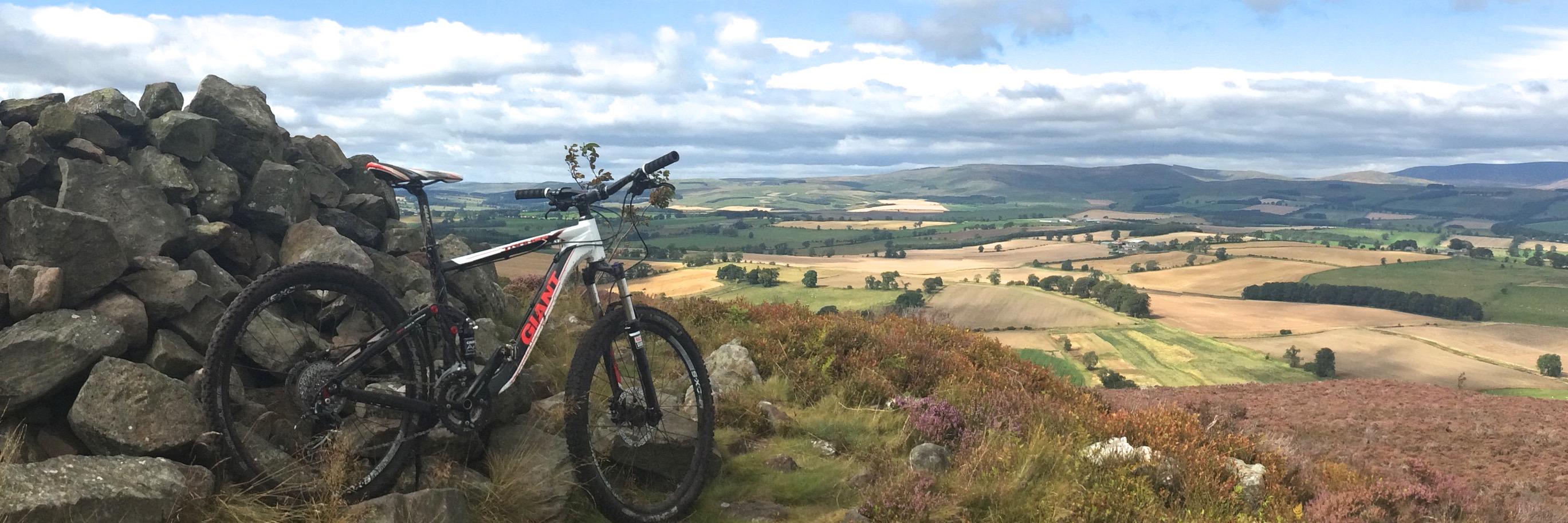 Bone Desert Cycling banner