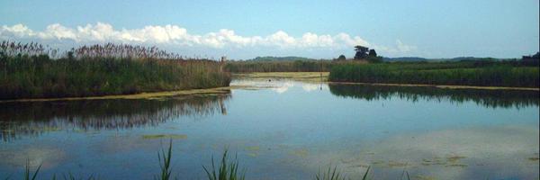 CleanWaterDE Profile Banner