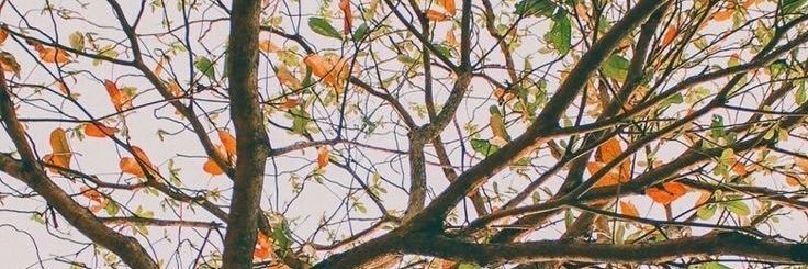 PENTOR1Hk_'s profile banner image
