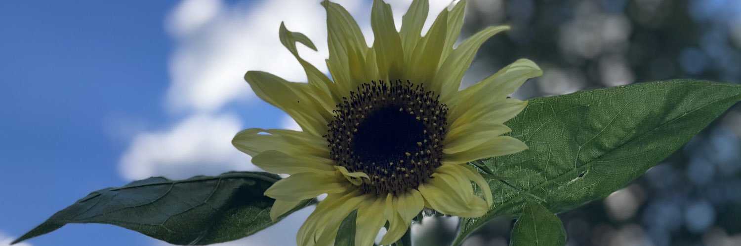 pennorrison's profile banner image