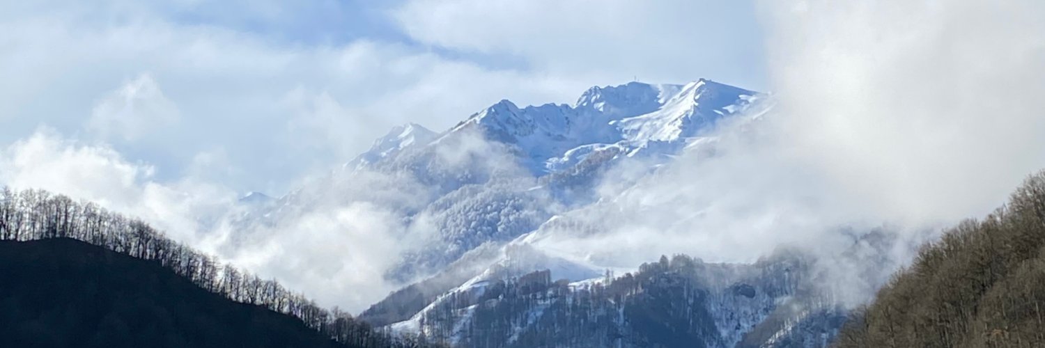 Vladimir Ozerov banner