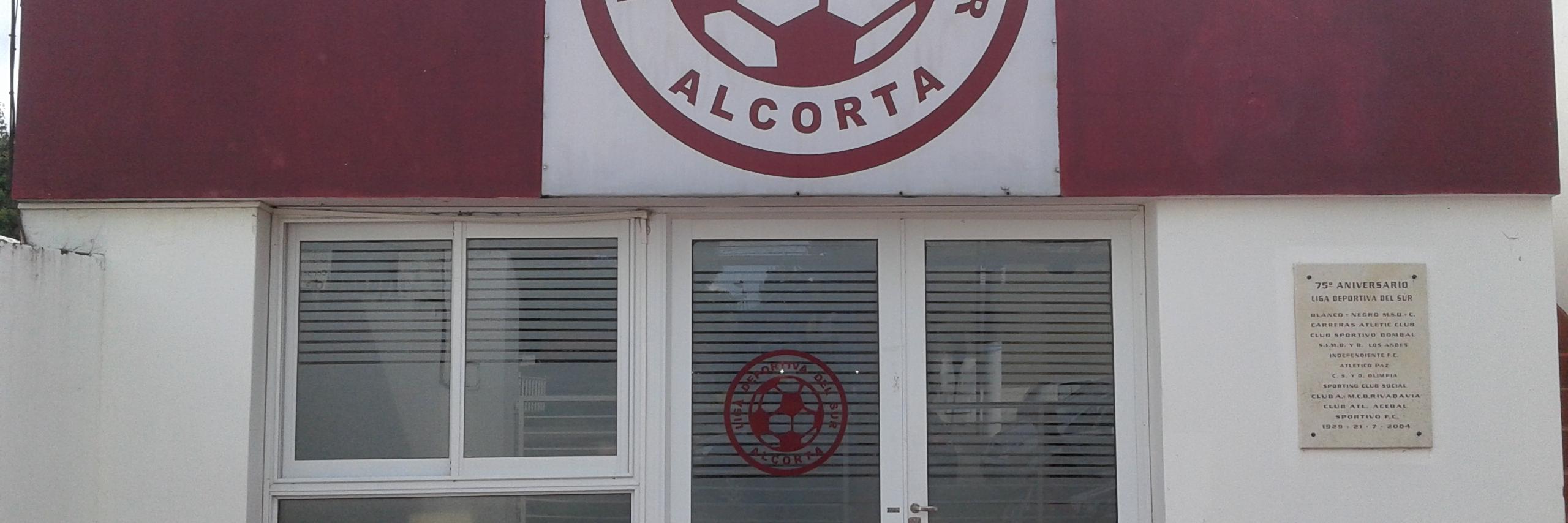 LigaDeportivaDelSur banner