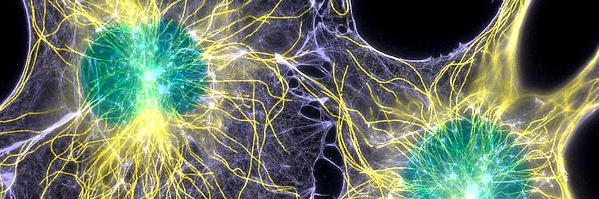 rage_chaudhary's profile banner image