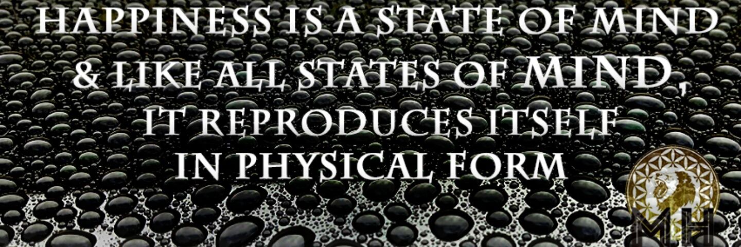 Matthew Havens banner